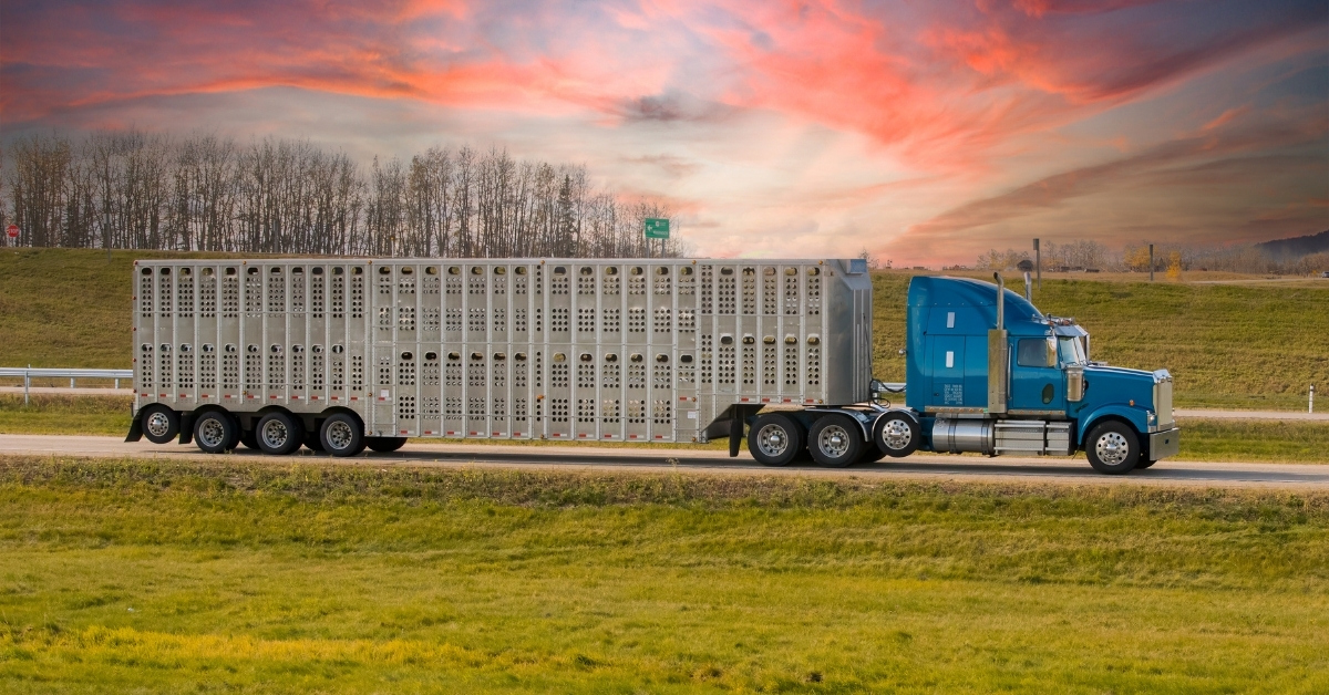 Guide pour l’exemption agricole des heures de service aux États-Unis